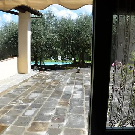 Olivo * Lastra a Signa