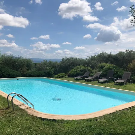 Apartment Olivo